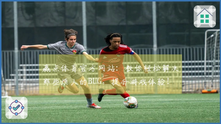 赢点体育官方网站：教你轻松解决那些烦人的BUG，提升游戏体验！