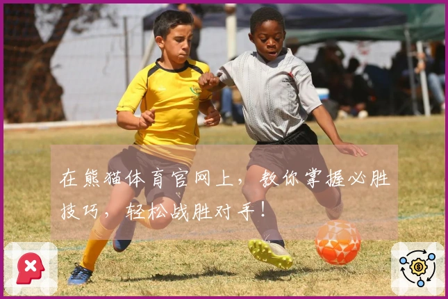 在熊猫体育官网上,教你掌握必胜技巧,轻松战胜对手!