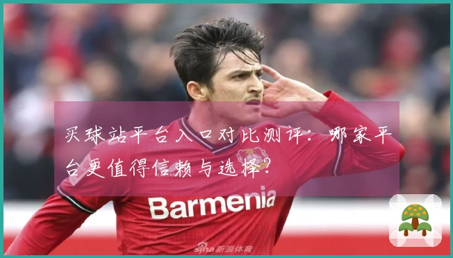 买球站平台入口对比测评：哪家平台更值得信赖与选择？