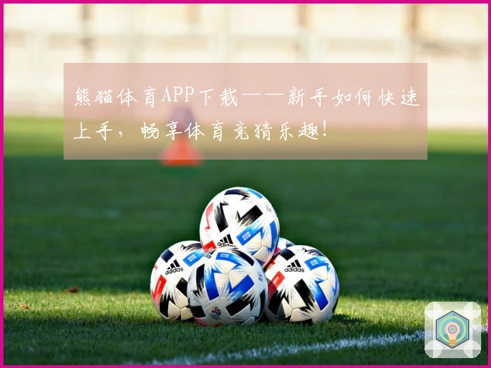 熊猫体育APP下载——新手如何快速上手，畅享体育竞猜乐趣！